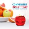 imageFruit Fly Traps for Indoors by Raid  2 Lures  2 Refills  Effective Fruit Fly Trap for Indoor Use  Fruit Fly Killer ampamp Gnat Traps for House Indoor  Easy to Use ampamp Safe FoodBased Lure Fly Catcher1