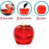 imageFruit Fly Traps for Indoors by Raid  2 Lures  2 Refills  Effective Fruit Fly Trap for Indoor Use  Fruit Fly Killer ampamp Gnat Traps for House Indoor  Easy to Use ampamp Safe FoodBased Lure Fly Catcher1