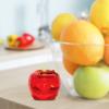 imageFruit Fly Traps for Indoors by Raid  2 Lures  2 Refills  Effective Fruit Fly Trap for Indoor Use  Fruit Fly Killer ampamp Gnat Traps for House Indoor  Easy to Use ampamp Safe FoodBased Lure Fly Catcher1