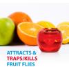 imageFruit Fly Traps for Indoors by Raid  2 Lures  2 Refills  Effective Fruit Fly Trap for Indoor Use  Fruit Fly Killer ampamp Gnat Traps for House Indoor  Easy to Use ampamp Safe FoodBased Lure Fly Catcher1