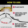 imageRaid Ant Killer Baits For Household Use Kills the Colony Kills Ants for 3 Months Child Resistant 4 Count4 Count