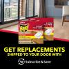 imageRaid Ant Killer Baits For Household Use Kills the Colony Kills Ants for 3 Months Child Resistant 4 Count8 Count