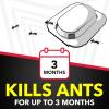 imageRaid Ant Killer Baits For Household Use Kills the Colony Kills Ants for 3 Months Child Resistant 4 Count8 Count