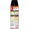 imageRaid Ant ampamp Roach Aerosol Bug Spray WaterBased Formula Insecticide With No Greasy Residue Kills On Contact 175 ozPack of 1