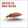 imageRaid Bed Bug Detector ampamp Trap 8 ct4 Count