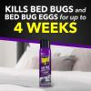 imageRaid Bed Bug Foaming Spray Kills Bed Bugs and Their Eggs for Indoor Use NonStaining Keeps Killing for Weeks 165 oz Pack of 1165 Ounce Pack of 1