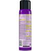 imageRaid Bed Bug Foaming Spray Kills Bed Bugs and Their Eggs for Indoor Use NonStaining Keeps Killing for Weeks 165 oz Pack of 1165 Ounce Pack of 1