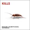 imageRaid Double Control Large Roach Baits 8 Count Pack of 18 Count Pack of 3
