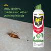 imageRaid Essentials Ant Spider ampamp Roach Killer Aerosol Spray Child ampamp Pet Safe Kills Insects Quickly for Indoor Use Rosemary Mint Scent 10 fl oz