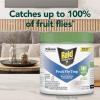 imageRaid Essentials Fruit Fly Trap for Indoors Made with Essential Oils Child and Pet Safe 54 oz