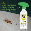 imageRaid Essentials MultiInsect Killer Spray Bottle Child and Pet Safe for Indoor Use Lemongrass Scent 12 fl oz12 Ounce Pack of 2