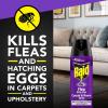 imageRaid Flea Killer Carpet ampamp Room Spray Kills hatching eggs for up to 4 months 16 Oz16 Ounce Pack of 1