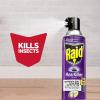 imageRaid Flea Killer Kills Fleas Crickets Roaches Silverfish and Ticks Use in Your Home or on Your Dog 1 Pound Pack of 6Flea Killer Pack of 6