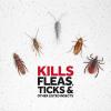 imageRaid Flea Killer Kills Fleas Crickets Roaches Silverfish and Ticks Use in Your Home or on Your Dog 1 Pound Pack of 6Flea Killer Pack of 6