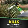 imageRaid House ampamp Garden I Kills Insects without Harming Plants 11 ozOrange Breeze