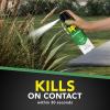 imageRaid House ampamp Garden I Kills Insects without Harming Plants 11 ozUnscented