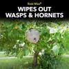 imageRaid Max Foaming Wasp ampamp Hornet Killer Fast Coverage Foam Bug Killer Kills The Entire Nest 165 oz