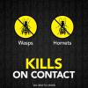 imageRaid Max Foaming Wasp ampamp Hornet Killer Fast Coverage Foam Bug Killer Kills The Entire Nest 165 oz
