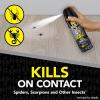 imageRaid Max Spider and Scorpion Killer Kills Spiders Scorpions Roaches Ants Waterbugs Earwigs 12 Oz12 Ounce Pack of 1