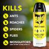 imageRaid Multi Insect Killer 15 OZ15 Ounce Pack of 1