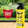 imageRaid Multi Insect Killer 15 OZ15 Ounce Pack of 3