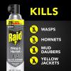 imageRaid Wasp ampamp Hornet Killer 33 Outdoor Flying Insect Spray 175 oz175 Ounce Pack of 1