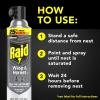imageRaid Wasp ampamp Hornet Killer 33 Outdoor Flying Insect Spray 175 oz175 Ounce Pack of 1