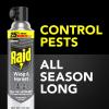 imageRaid Wasp ampamp Hornet Killer 33 Outdoor Flying Insect Spray 175 oz175 Ounce Pack of 1