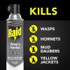 imageRaid Wasp and Hornet Killer 175 Ounce Pack of 3