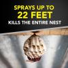 imageRaid Wasp and Hornet Killer 175 Ounce Pack of 3