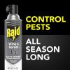 imageRaid Wasp and Hornet Killer Spray Kills the entire nest Kills Paper Wasps Yellow Jackets Mud Daubers and more 14 oz14 ozPack of 1