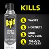imageRaid Wasp and Hornet Killer Spray Kills the entire nest Kills Paper Wasps Yellow Jackets Mud Daubers and more 14 oz14 ozPack of 1