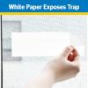 imageRaid Window Fly Trap 4 Count Pack of 3