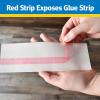 imageRaid Window Fly Trap 4 Count Pack of 3