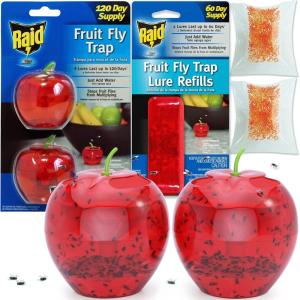 imageFruit Fly Traps for Indoors by Raid  2 Lures  2 Refills  Effective Fruit Fly Trap for Indoor Use  Fruit Fly Killer ampamp Gnat Traps for House Indoor  Easy to Use ampamp Safe FoodBased Lure Fly Catcher1