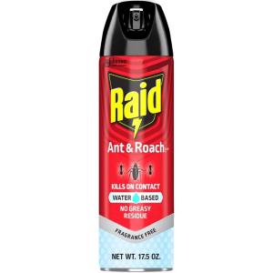 imageRaid Ant ampamp Roach Aerosol Bug Spray WaterBased Formula Insecticide With No Greasy Residue Kills On Contact 175 ozPack of 1