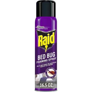 imageRaid Bed Bug Foaming Spray Kills Bed Bugs and Their Eggs for Indoor Use NonStaining Keeps Killing for Weeks 165 oz Pack of 1165 Ounce Pack of 1