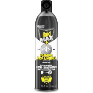 imageRaid Max Foaming Wasp ampamp Hornet Killer Fast Coverage Foam Bug Killer Kills The Entire Nest 165 oz