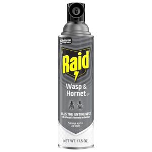 imageRaid Wasp ampamp Hornet Killer 33 Outdoor Flying Insect Spray 175 oz175 Ounce Pack of 1