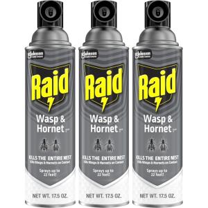 imageRaid Wasp and Hornet Killer 175 Ounce Pack of 3