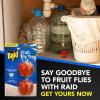 imageRaid Fruit Fly Trap 4 Lures for 120 Days of Protection AppleShaped Reusable Indoor Fly Trap Stops Flies from Multiplying in Kitchens Near Fruits Vegetables amp Garbage Bins