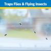 imageRaid Transparent Window Fly Trap 6 Pk Over 100 Flies Per Trap Indoor Sticky Fly Strips for Flying Insects No Insecticides MessFree Bug Catcher for Kitchen amp Bedroom Windows Peel amp Stick