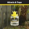 imageRaid Yellow Jacket Wasp amp Hornet Trap 1 Count Reusable Convenient Hanging Flying Insect Jar with FoodBased Lure NoSpray Fly Traps Outdoor Suitable Defense for Yards Patios amp Campsites