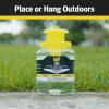 imageRaid Yellow Jacket Wasp amp Hornet Trap 1 Count Reusable Convenient Hanging Flying Insect Jar with FoodBased Lure NoSpray Fly Traps Outdoor Suitable Defense for Yards Patios amp Campsites